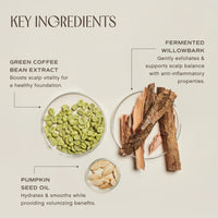 Innersense Organic Beauty Hair Renew Scalp Balance Duo
