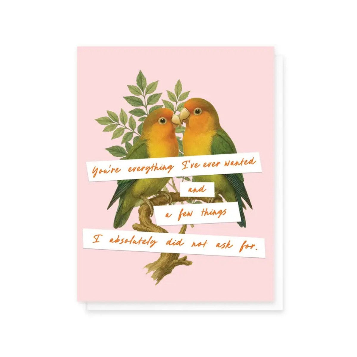 Cardideology Greeting Cards - Everything I've Ever Wanted