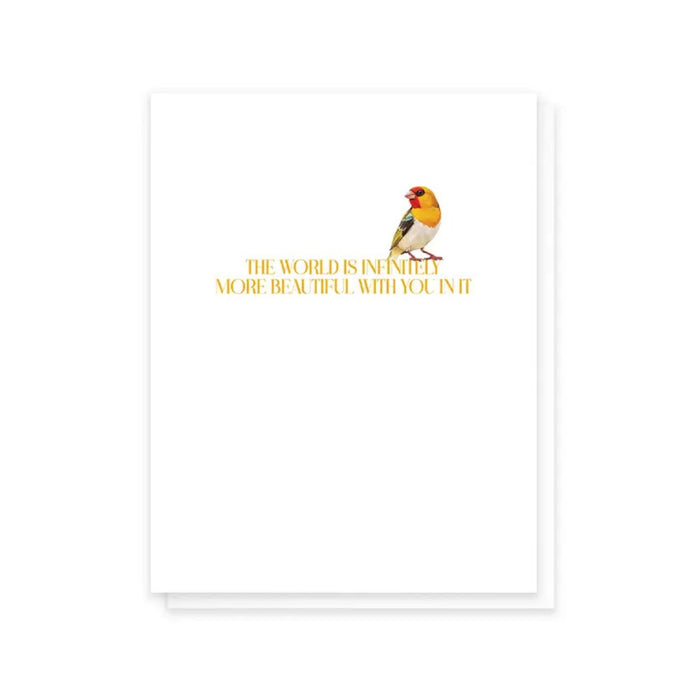 Cardideology Greeting Cards - Infinitely More Beautiful