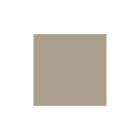 Plume Nourish & Set Brow Gel in Golden Silk - Short Dated
