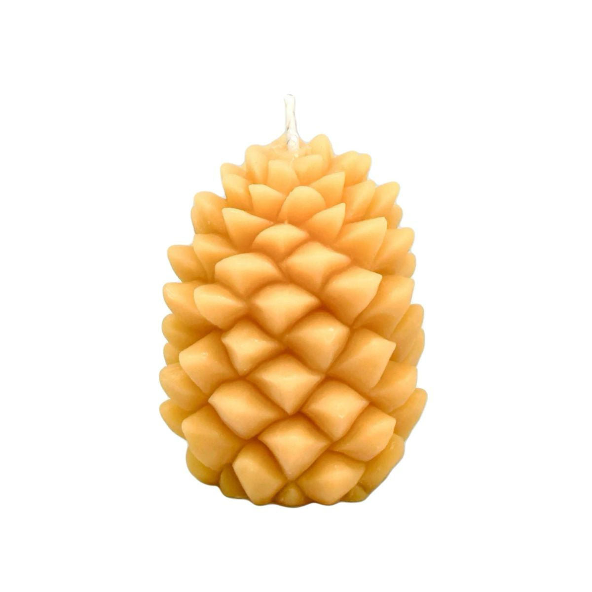 Honey Candles Beeswax Pine Cone Candle - The Green Kiss