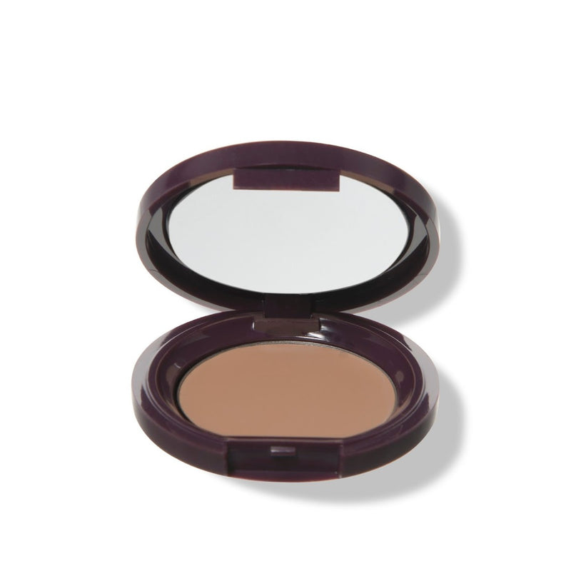 100 Percent Pure Fruit Pigmented Long Last Concealer - The Green Kiss