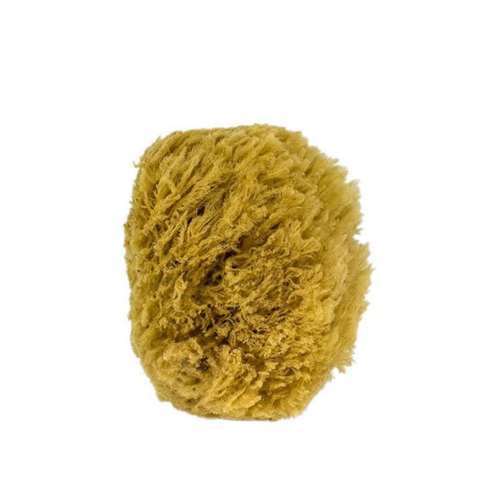 Urban Spa All Natural Sea Sponge